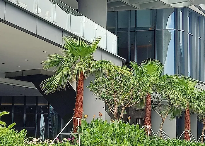 Alacarte- Rosabella Nguyen 3* Ha Long